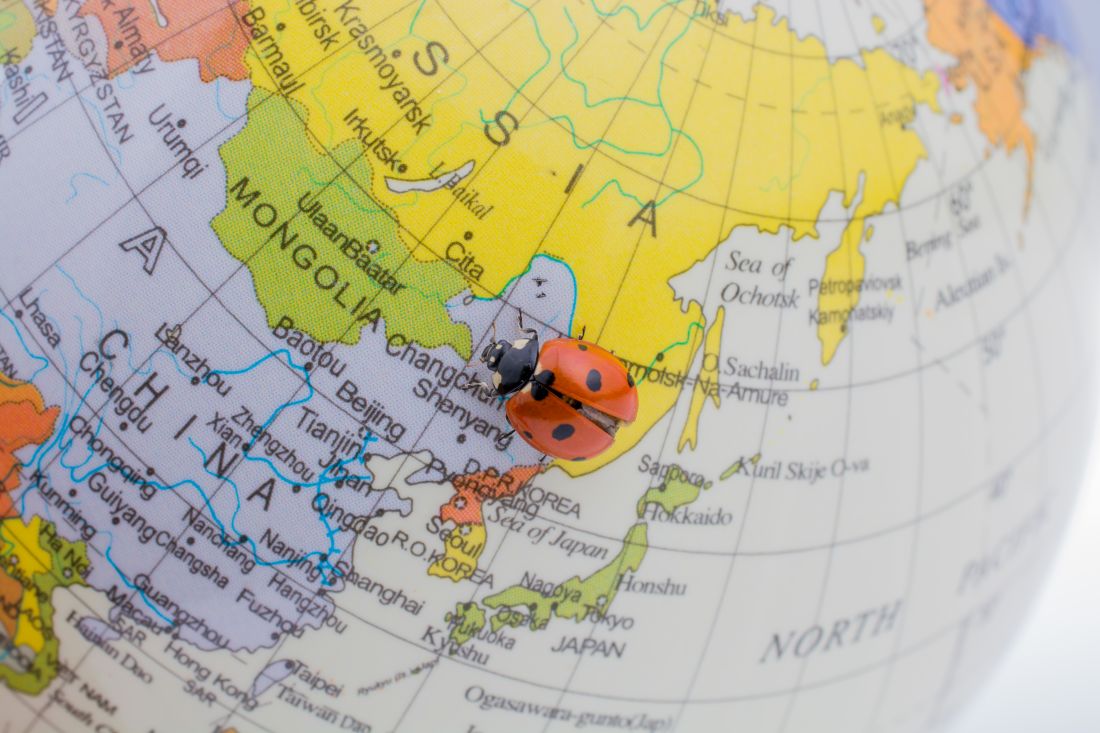 Studia wschodnie studies